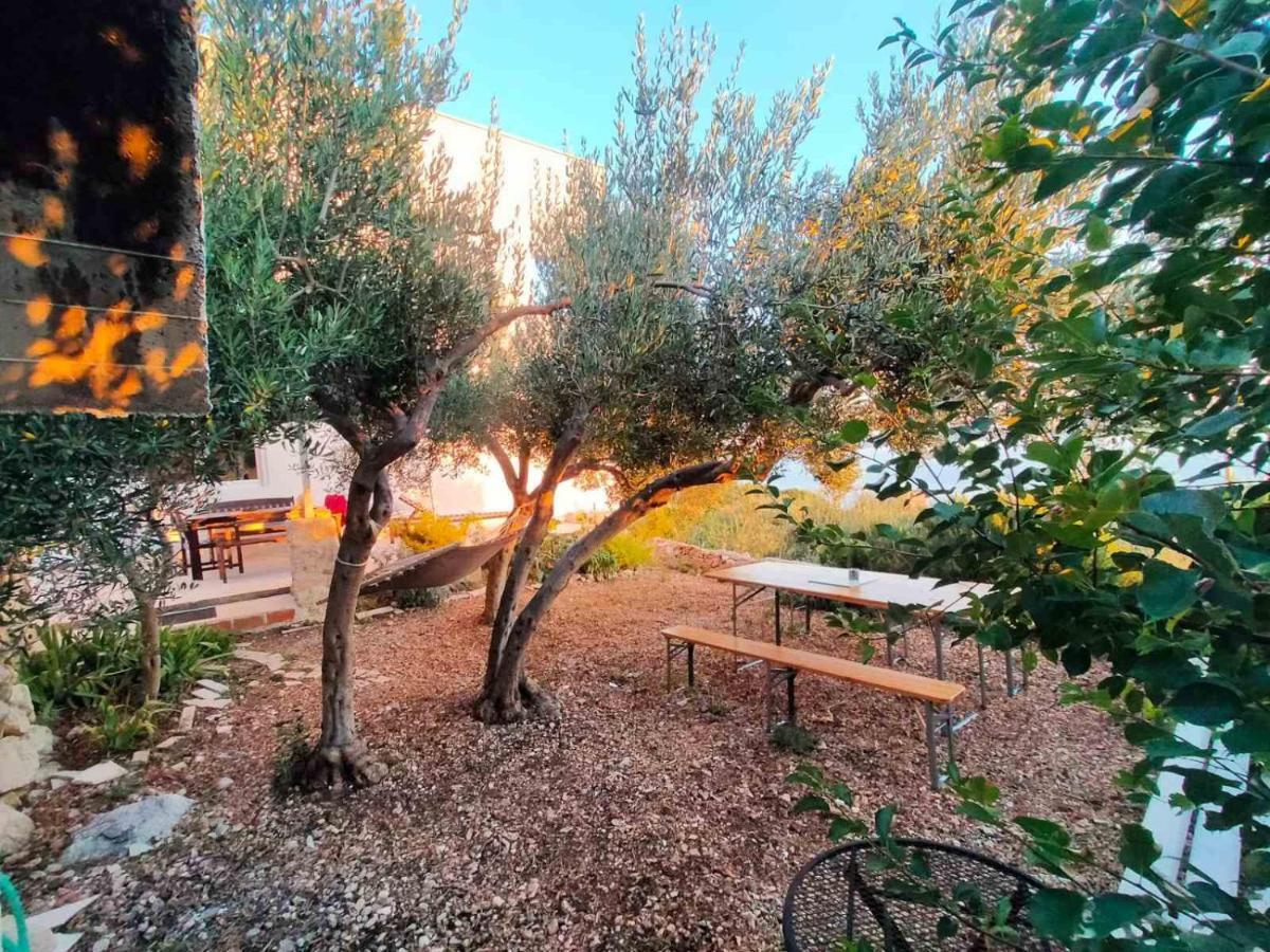 Apartment Croatia Art 드라슈니체 외부 사진
